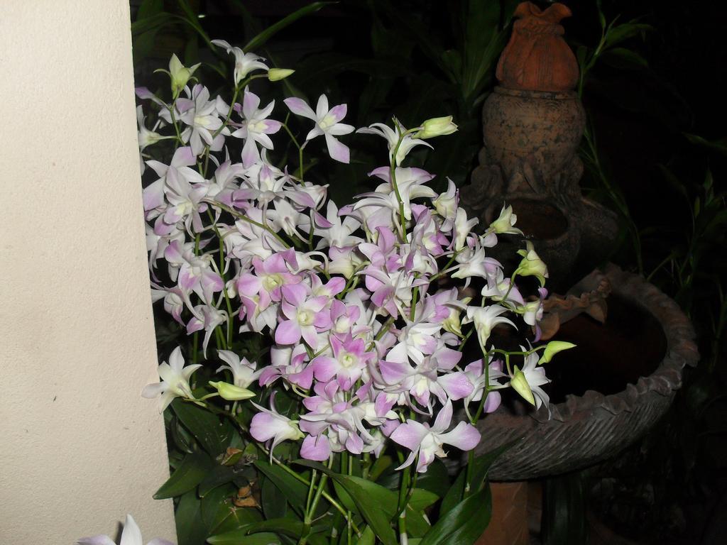Your House 3 Guest House Chiang Mai Dış mekan fotoğraf